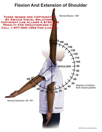 Flexion And Extension Of Shoulder