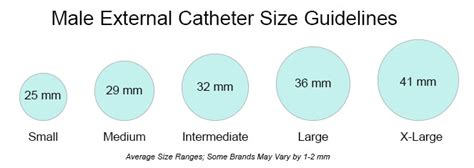 Male External Catheter Size Chart