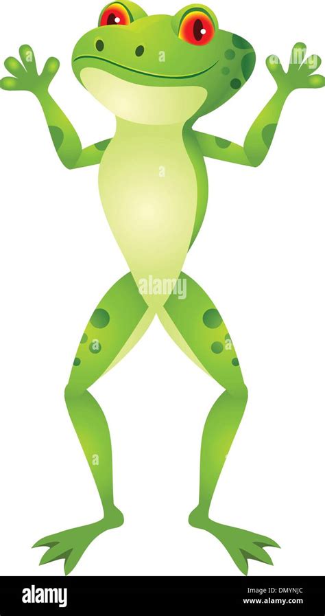 Funny Frog Cartoon Stock Vector Image And Art Alamy