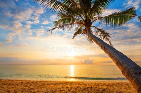 167985 Tropical Beach Sunrise Photos Free And Royalty Free Stock