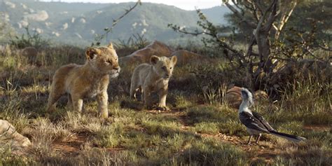 The Lion King Reboot Pictures Popsugar Entertainment