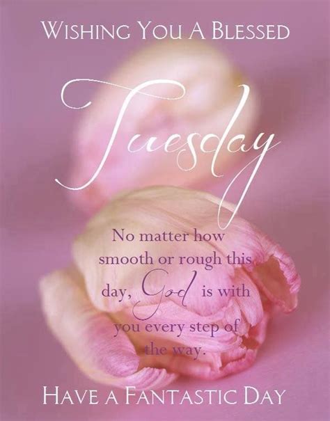 Good morninghave a beautiful, sunny and happy tuesday everyone. Wishing You A Blessed Tuesday Have A Fantastic Day ...
