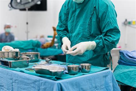 Scrub Nurse Prepare Medical Equipments For Surgery Stock Image Image