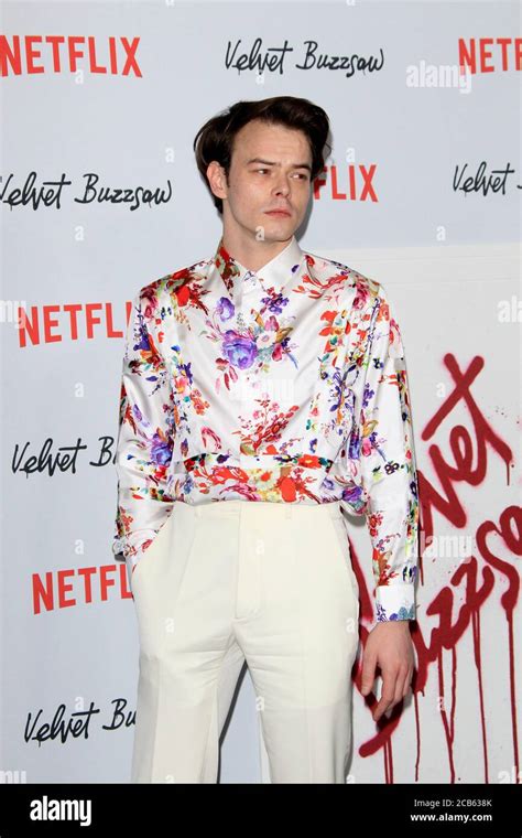 LOS ANGELES JAN Charlie Heaton At The Velvet Buzzsaw Los Angeles Premiere Screening At