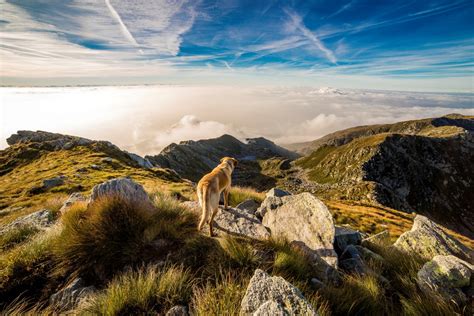 Free Images Landscape Sea Coast Nature Rock Horizon Wilderness