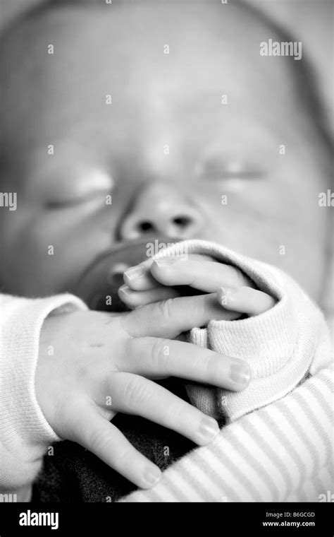 Newborn Baby Sleeping With Focus On Tiny Hands Stock Photo Alamy