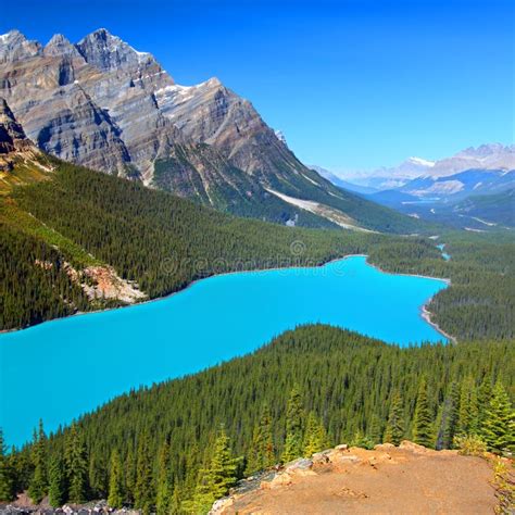Lago Peyto Parque Nacional De Banff Canadá Foto De Archivo Imagen