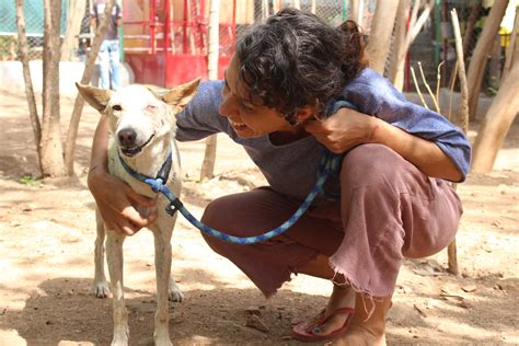 Animal Shelter And Rescue Supporter Volunteer In India 2023 Ph