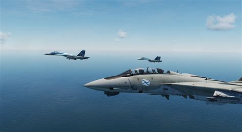 F 14b Russian Navy Camouflage White Shark Fictional
