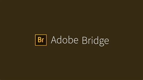Pc Win Adobe Bridge 2022 Ita Programmi E Dove Trovarli