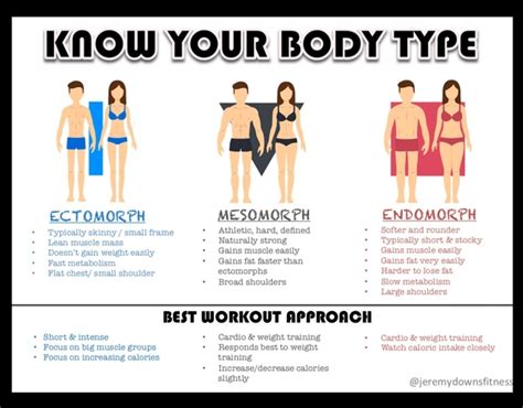 What Are Body Types Ie Endomorph Mesomorph And Ectomorph Quora