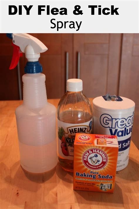 Homemade Flea And Tick Spray For Pets Homemade Apple Cider And Pets