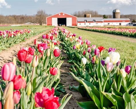 Spring In Nj Visit These Seven Places To See The Garden State In