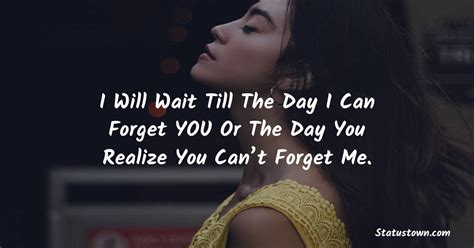 I Will Wait Till The Day I Can Forget You Or The Day You Realize You