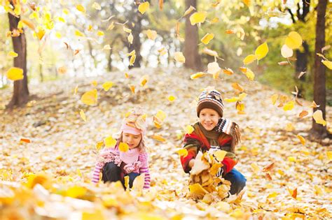Children Playing In Autumn Leaves Wallpapers High Quality Download Free