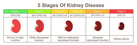 Stage Iii Chronic Kidney Disease