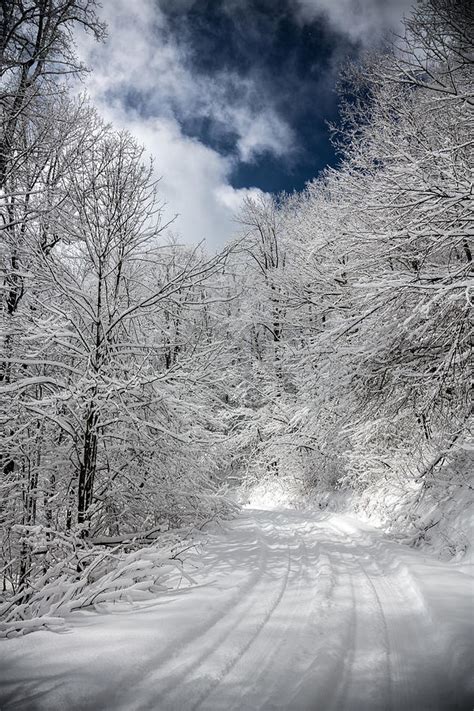 The Road To Winter Wonderland Photograph By John Haldane Fine Art America