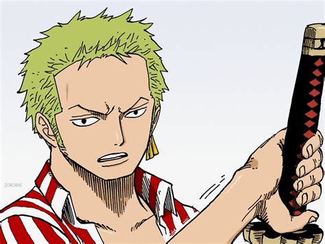 Zoro Understands Luffy Zoro One Piece One Piece Manga The Manga