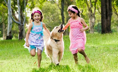 Pet Dogs Are They Beneficial To Humans Ayoti Blog