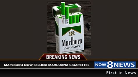 Quest carlton camel cigarettes menthol. В США начали продавать Marlboro с марихуаной / vlasti.net