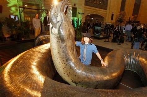 Titanoboa: The Biggest Snake That Ever Lived | HubPages