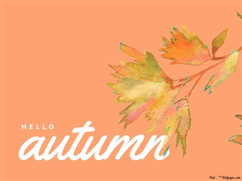 Leaf Is Autumn Hd Wallpaper Download