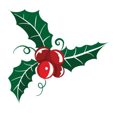 Mistletoe Icon 19 Transparent Png And Svg Vector File