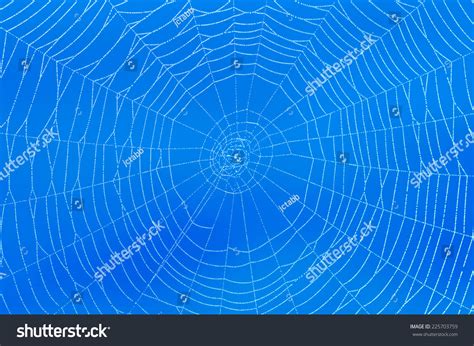 Spider Web On Blue Background Stock Photo 225703759 Shutterstock