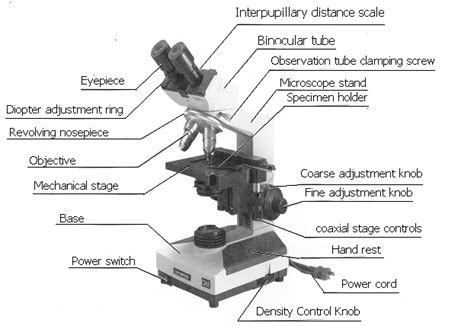 Label Parts Of The Microscope Optics And Binoculars
