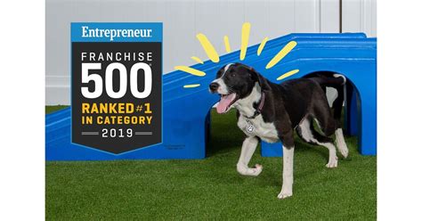 Maybe you would like to learn more about one of these? Camp Bow Wow Ranks #1 in the Pet Services Category in ...