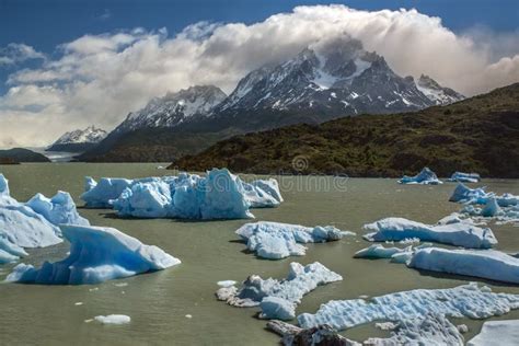 Icebergs In Grey Lake Patagonia Chile Stock Photo Image Of