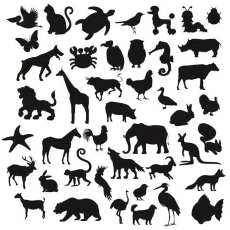 A Set Of Animals Silhouette 1361349 Vector Art At Vecteezy