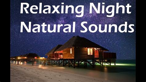 Relaxing Night Natural Sounds For Sleep Youtube