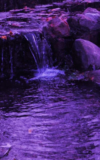 Purple Waterfall Flickr Photo Sharing