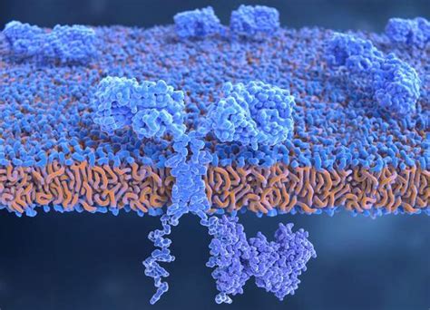 Recently, virus isolation time has been shortened (adombi et al., 2011). Paul-Ehrlich-Institut - Pressemitteilungen - CD4+-Zellen ...