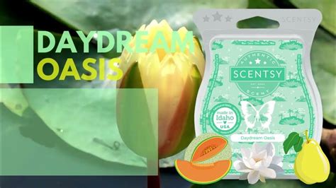 Daydream Oasis Scentsy Wax Bar Review Youtube