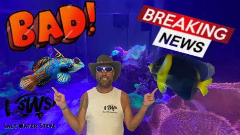 Bad News 🥲 3 Dead Fish And Some Good News 🤙🏽 Sws Youtube