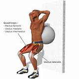 Muscle Exercise For Quadriceps Pictures
