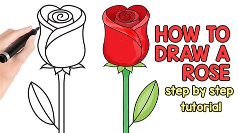 Https://tommynaija.com/draw/how To Draw A Beautiful Big Rose
