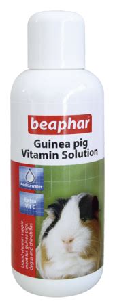 Highlighting the fun and serious moments of caring for guinea pigs. Beaphar Guinea Pig Vitamin - Delicious Liquid supplement ...
