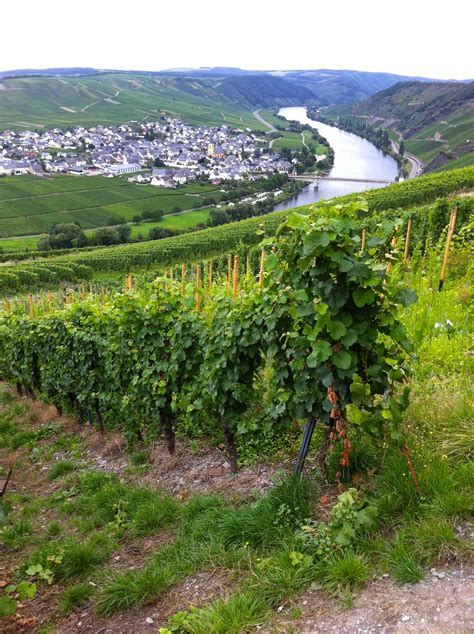 Mosel Valley Germany Charming Villages Along The River With Hills