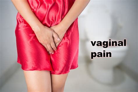 Vaginal Pain Causes Treatments Prevention Anatomy