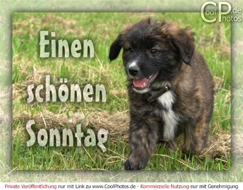 Auch im dritten teil von the fast and the furious ist handling wichtiger als handlung. Guten Morgen am Sonntag | Aktienforum | Aktien Forum ...