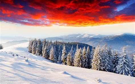 Wallpaper Cold Winter Thick Snow Sunrise Glow Forest Mountains