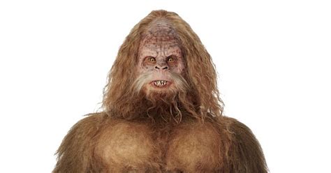 21 Things You Might Not Know About Me Sasquatch Recent News Drydenwire