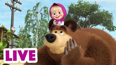 🔴 Live Stream 🌟 माशा एंड द बेयर 💗 इतना प्यारा क्यों है 🥰 Masha And The Bear Youtube