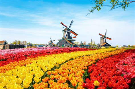 10 Best Tours In Amsterdam Netherlands 2023 Road Affair