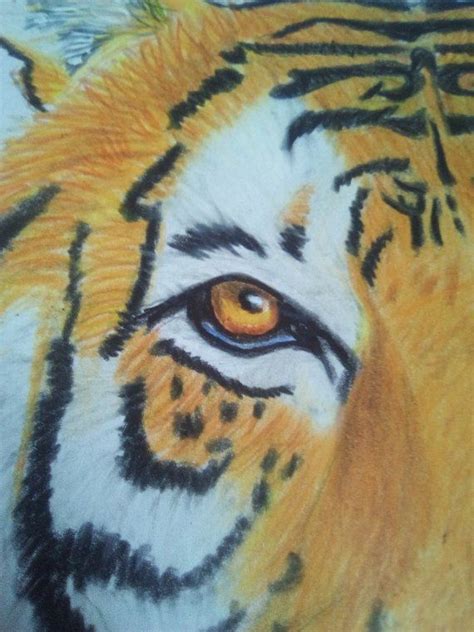 Dessin tigre réaliste Etsy Dessin tigre Dessin crayon de couleur