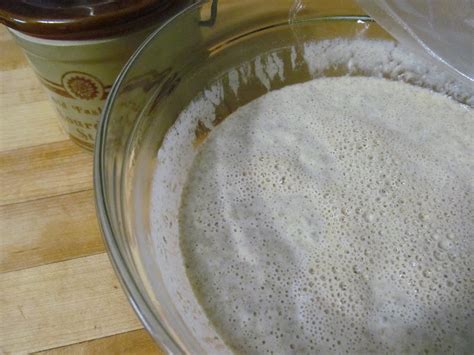 Adventures Of A Whole Wheat Pastafarian Rye Sourdough Starter Recipe