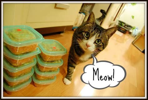 Cat food recipes for tasty fish entrees. Homemade Cat Food Recipe #food #recipes | Homemade cat ...